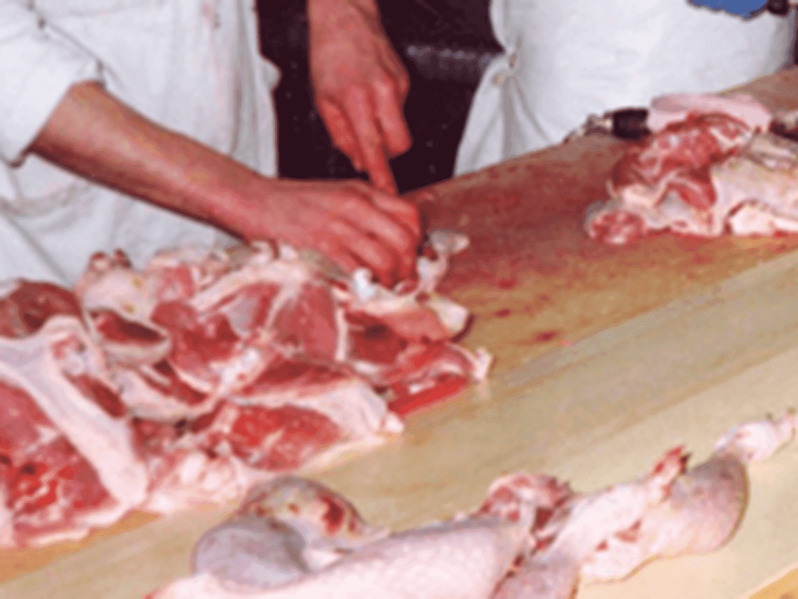 Homogeneous belt,related to meat and poultry industry
